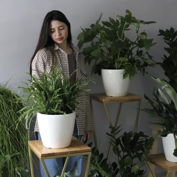 Vibrant Tulip & Narcissus Bouquet